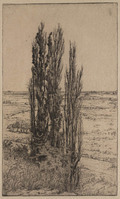 KG 18127
<br/>
Landschap bij Wageningen met populieren
<br/>
<em>Nachenius, Jan Coenraad (1890-1987)</em>